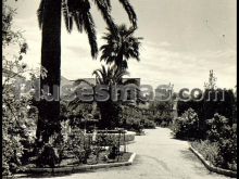 Una perspectiva de los jardines de la alameda de morón de la frontera (sevilla)