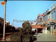 Avenida de josé antonio de la roda de andalucía (sevilla)