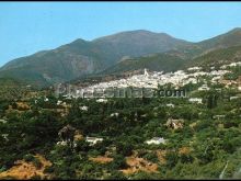 Foto antigua de PROVINCIA DE MALAGA