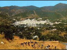 Foto antigua de PROVINCIA DE MALAGA