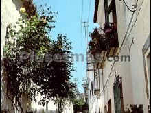 Calle de las flores en la rambla (córdoba)