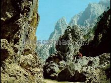 Garganta del cares en los picos de europa (asturias)