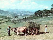 Paisaje montañés de santander (cantabria)