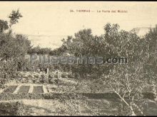 Ver fotos antiguas de la ciudad de TIERMAS