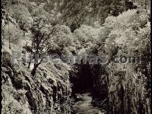 Boca de infierno, barranco a la entrada de la selva de oza en hecho (huesca)