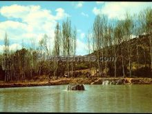 Lago de pesca en sarrión (teruel)