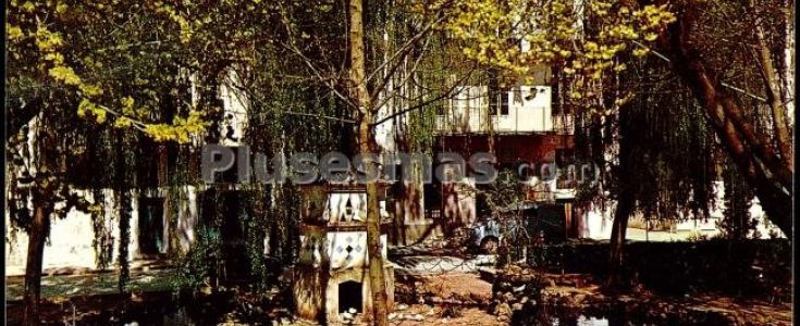 Fotos antiguas de BEAS DE SEGURA