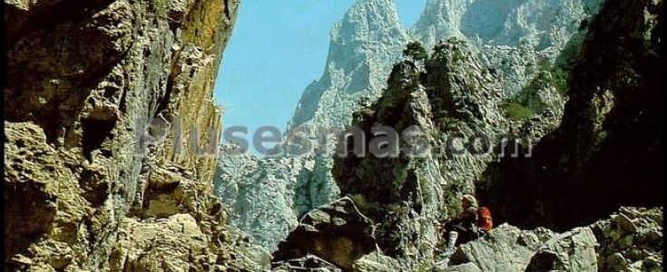 Fotos antiguas de PICOS DE EUROPA