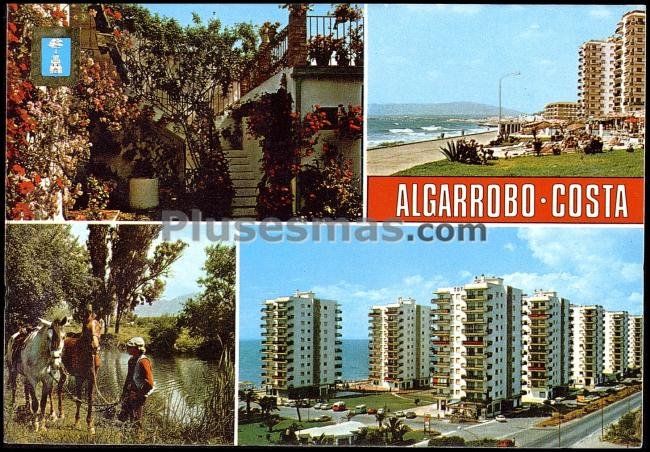 Algarrobo. Costa.