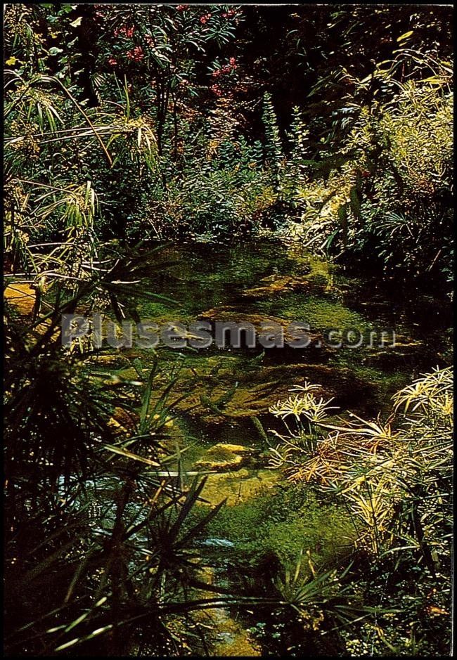 Foto antigua de PROVINCIA DE MALAGA