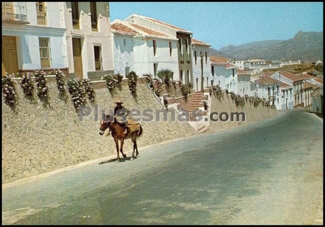Foto antigua de PROVINCIA DE MALAGA