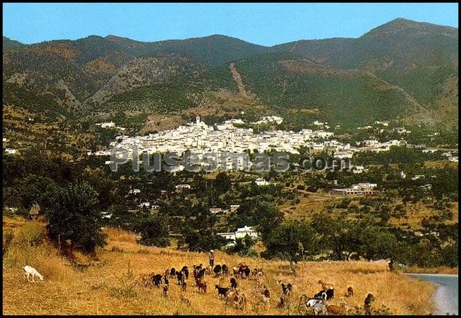 Foto antigua de PROVINCIA DE MALAGA