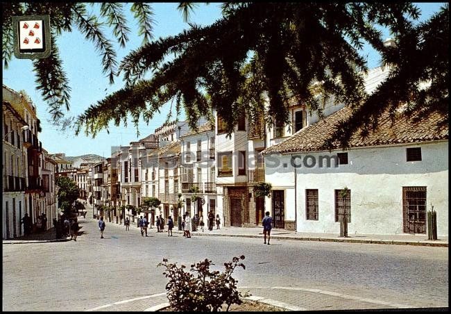 Montilla. Córdoba