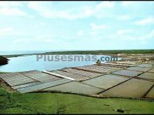 Salinas del janubio en yaiza de lanzarote (islas canarias)