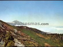 Paisaje del monte de la esperanza de santa cruz de tenerife