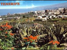 Los realejos (santa cruz de tenerife)