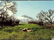 Ver fotos antiguas de parques, jardines y naturaleza en EL SAUZAL