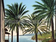 Ver fotos antiguas de Playas de LOS REALEJOS