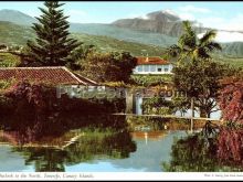 Norte de la isla formado por plataneras, casas blancas y dominándolo el teide de santa cruz de tenerife