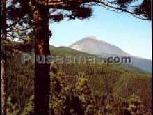 Ver fotos antiguas de montañas y cabos en TENERIFE