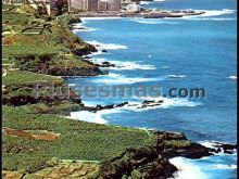 Santa úrsula y al fondo puerto de la cruz (santa cruz de tenerife)