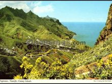 Vallecitos floridos, apacibles y ensoñadores de taganana (santa cruz de tenerife)