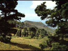 Vista del volcán de san antonio en la palma (tenerife)