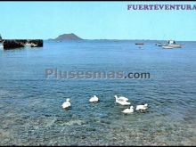 Corralejo. al fondo la isla de lobos. fuerteventura (islas canarias)