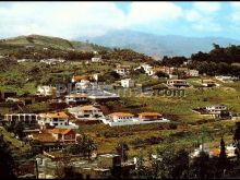 Monte coello en santa brigida (las palmas)