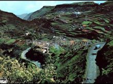 Ver fotos antiguas de parques, jardines y naturaleza en VEGA DE SAN MATEO