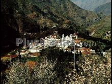 Almendros en flor y roque bantayga dentro de la caldera volcánica de tejeda (las palmas)