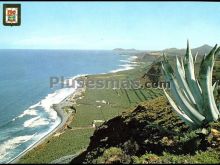 Costa de san felipe de santa maría de guía (las palmas)