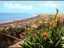 Playa del inglés en las palmas (sur de gran canaria)