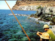 Playa de mogán (las palmas)