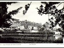 San roque en vega de san mateo (las palmas)