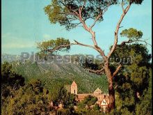 Ver fotos antiguas de parques, jardines y naturaleza en TOTANA