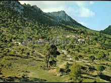 Monte santa ana en jumilla (murcia)