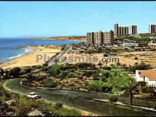 Dehesa de campoamor (alicante)