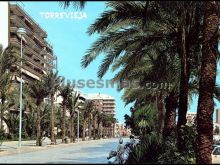 Paseo de josé antonio de torrevieja (alicante)