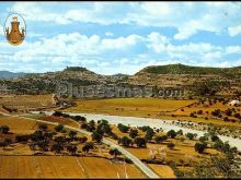 Ver fotos antiguas de parques, jardines y naturaleza en CERVERA DEL MAESTRE