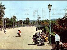 Ver fotos antiguas de parques, jardines y naturaleza en CARCAGENTE