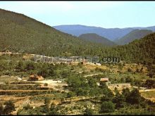 Ver fotos antiguas de parques, jardines y naturaleza en ARAS DE LOS OLMOS