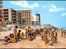 Ver fotos antiguas de playas en LES PALMERETES