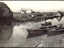 La albufera (valencia)