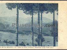Ver fotos antiguas de montañas y cabos en VAL DE LA MOLINA