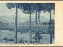 Ver fotos antiguas de Montañas y Cabos de VAL DE LA MOLINA