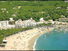 Playa y paseo de llafranc (gerona)