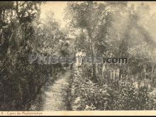 Camí de madremanya (gerona)