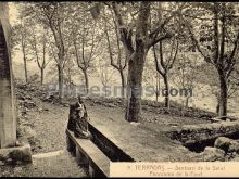 Ver fotos antiguas de parques, jardines y naturaleza en TERRADAS