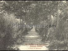 Ver fotos antiguas de Balnearios de VALLFOGONA